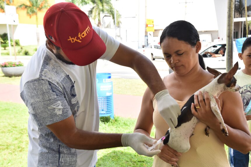 Prefeitura de Aparecida inicia vacinação itinerante contra a raiva em pets