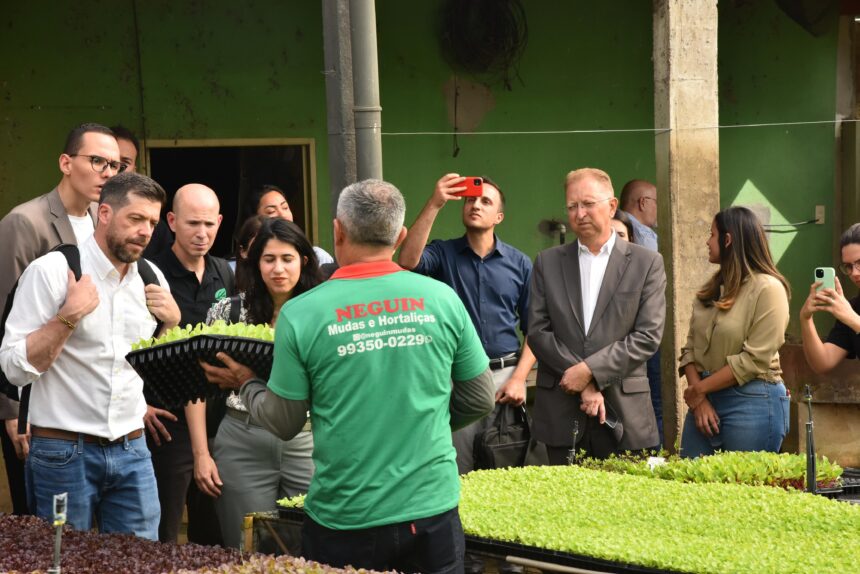 Delegação de Israel visita viveiro em Aparecida em missão de cooperação tecnológica no agronegócio