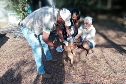 Prefeitura de Aparecida inicia Campanha de Vacinação Antirrábica; Dia D será em setembro