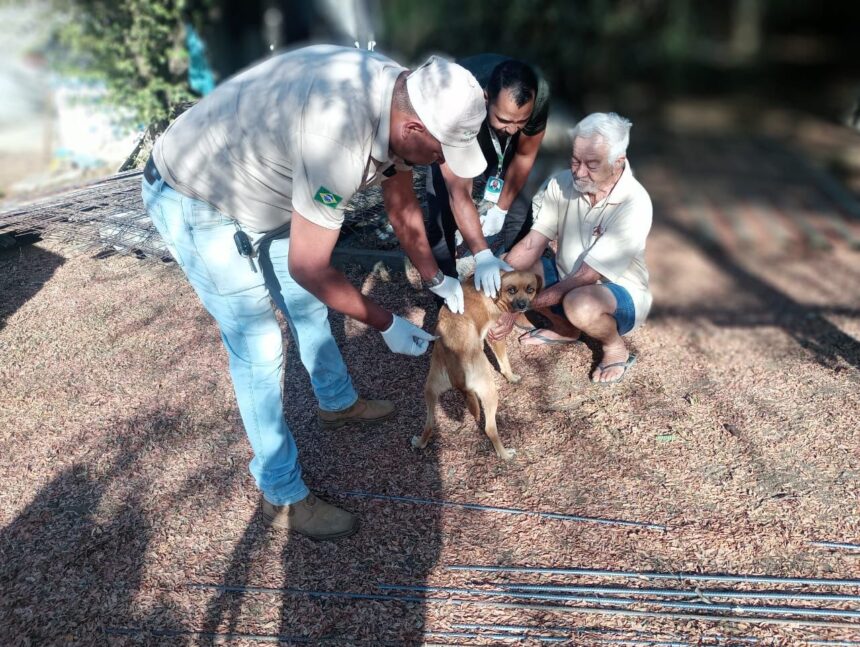Prefeitura de Aparecida inicia Campanha de Vacinação Antirrábica; Dia D será em setembro