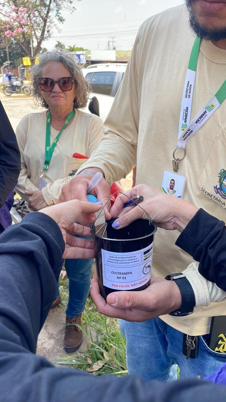 Prefeitura de Aparecida intensifica combate ao Aedes aegypti com armadilhas
