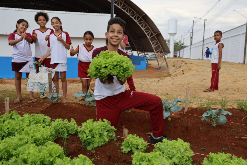 Crianças e comunidade escolar celebram colheita do Projeto Agricultura Urbana