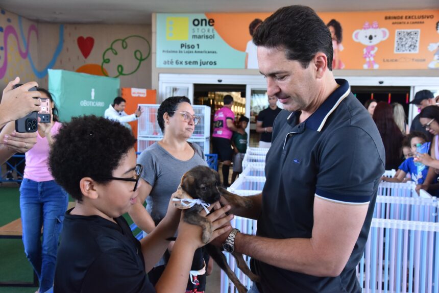 Feira de Adoção em Aparecida garante lar para 43 pets