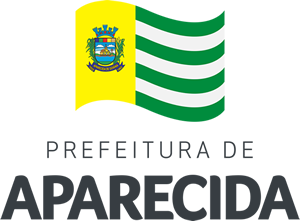 Prefeito Leandro Vilela apresenta investimentos e quitação de dívidas em prestação de contas