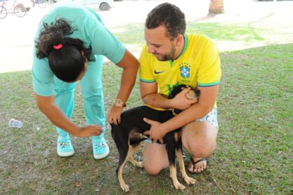 Prefeitura de Aparecida realiza Dia D de vacinação antirrábica para cães e gatos no sábado, 20