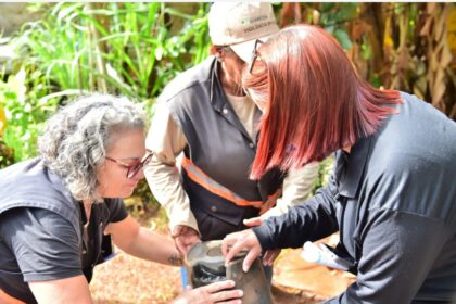 Dia D de Combate à Dengue mobiliza Setor Colina Azul em Aparecida