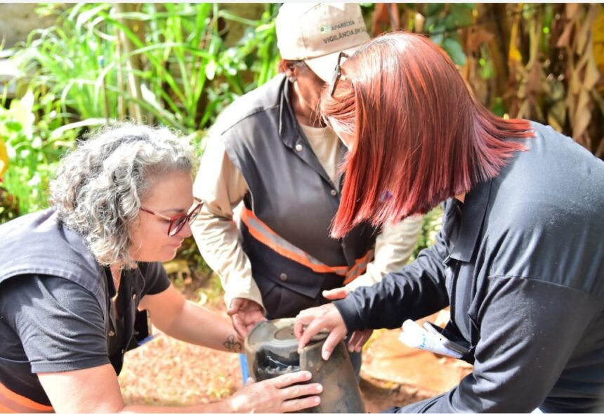 Dia D de Combate à Dengue mobiliza Setor Colina Azul em Aparecida