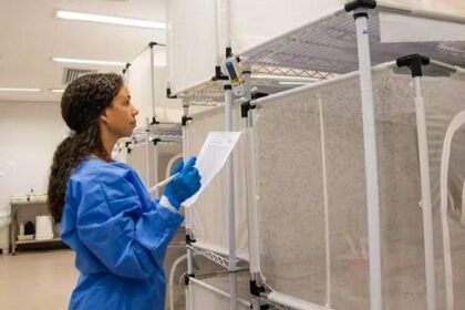 Aparecida de Goiânia discute implementação do Projeto Wolbachia contra arboviroses