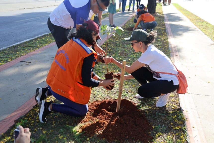 Virada Ambiental 2025 é encerrada com plantio de árvores na Avenida Rio Verde