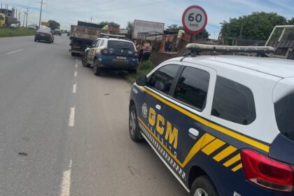 GCM de Aparecida atua em ocorrência de ataque de cães no Jardim Itapoã