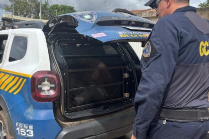GCM prende homem por cárcere privado e violência doméstica em Aparecida de Goiânia