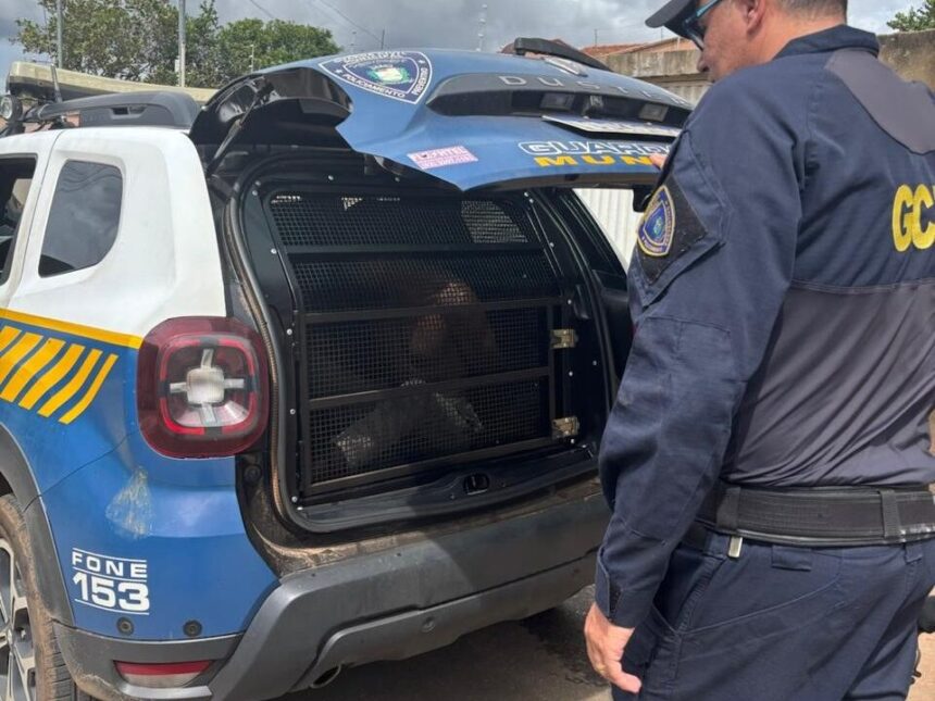 GCM prende homem por cárcere privado e violência doméstica em Aparecida de Goiânia
