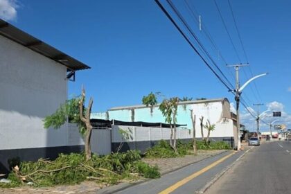 Prefeitura de Aparecida apreende caminhões da Equatorial por mutilação de árvores