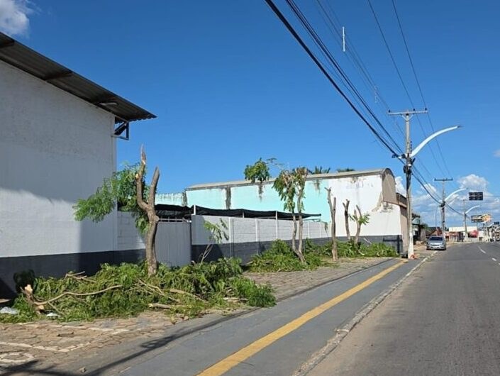 Prefeitura de Aparecida apreende caminhões da Equatorial por mutilação de árvores