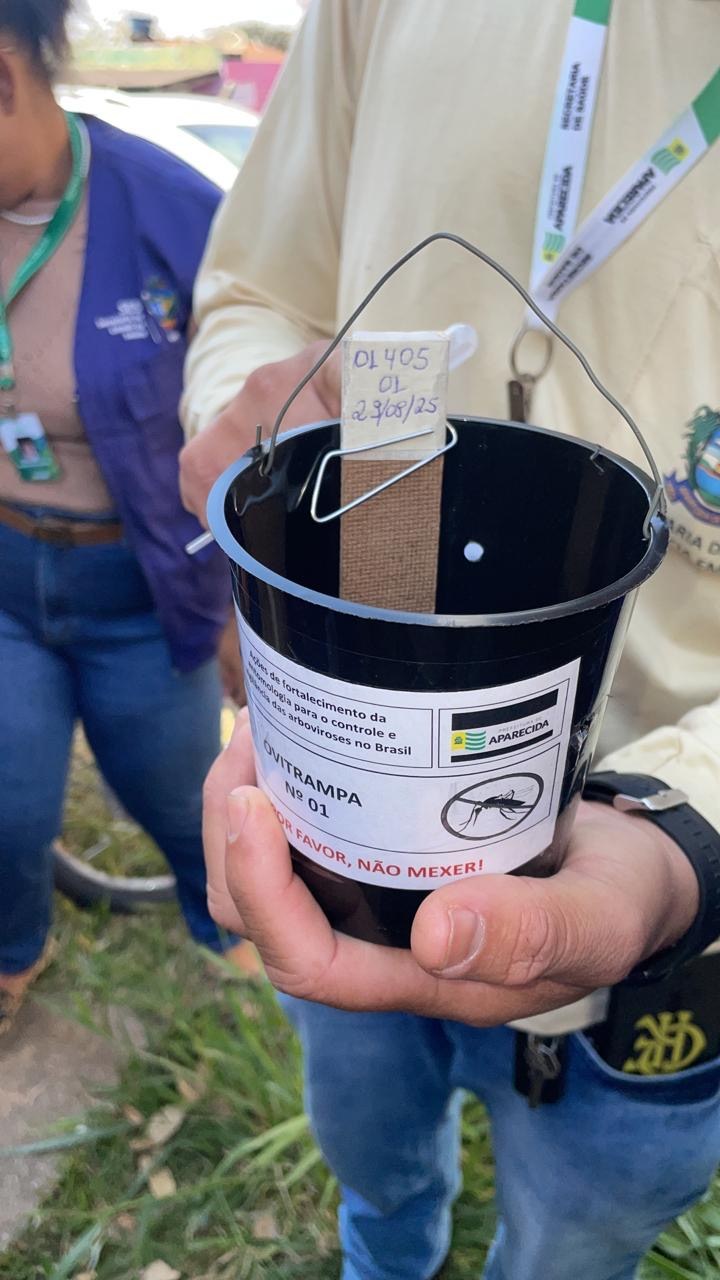 Prefeitura de Aparecida intensifica combate à dengue com ovitrampas