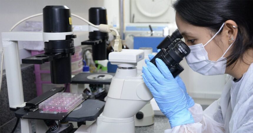 Biossensor brasileiro identifica câncer de pâncreas em estágios iniciais
