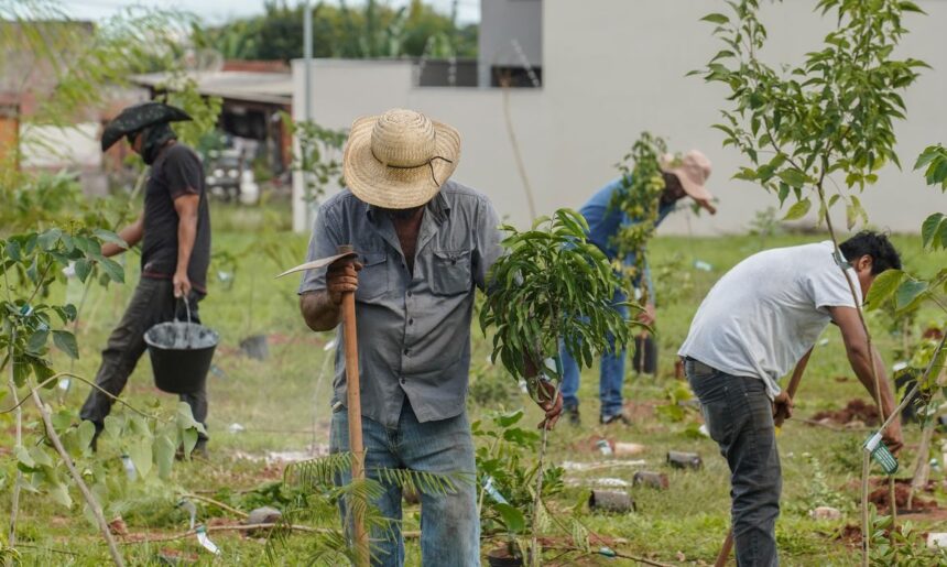 Banco do Brasil neutraliza emissões da COP15 em Campo Grande