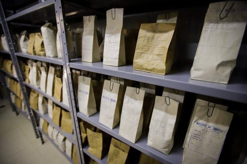 Bancos de germoplasma: guardiões da diversidade genética na agricultura de SP