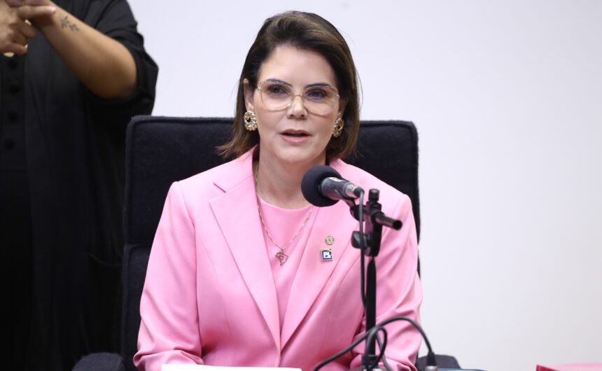 Câmara debate fortalecimento das Procuradorias da Mulher e 20 anos da Lei Maria da Penha