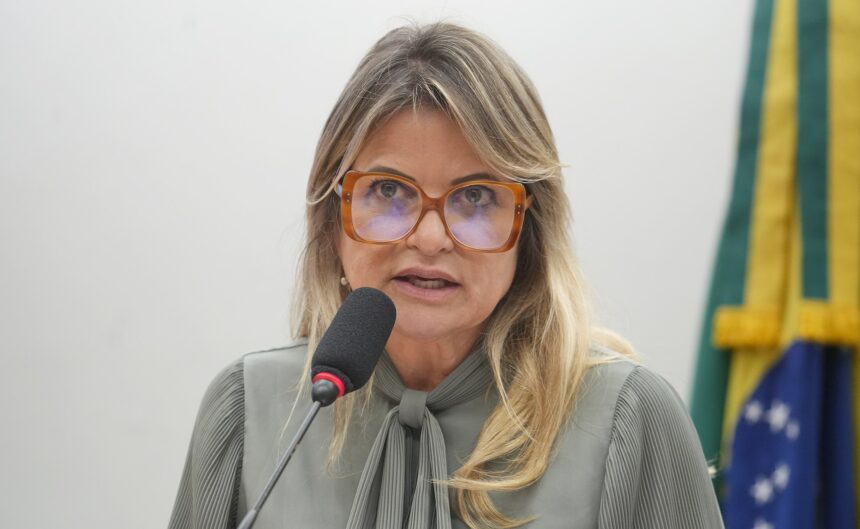 Câmara debate trabalho infantil digital em audiência pública