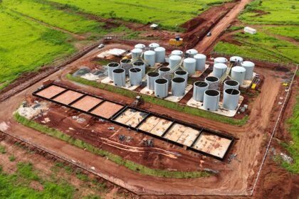 Codego divulga resultado preliminar de empresas para o Dianot