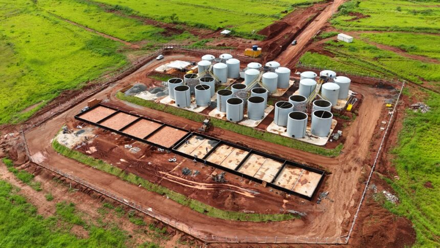 Codego divulga resultado preliminar de empresas para o Dianot