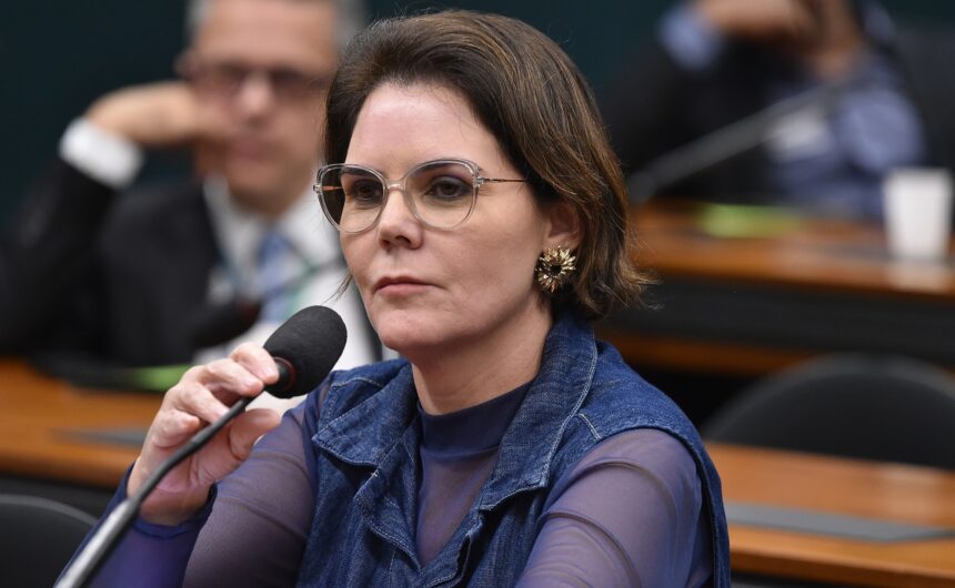 Comissão aprova participação social em plano para enfrentar violência contra mulher