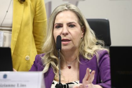 Comissão Mista discute estatísticas sobre violência contra a mulher