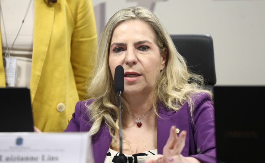 Comissão Mista discute estatísticas sobre violência contra a mulher