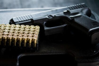 Comissão de Segurança debate porte de arma para auditores fiscais agropecuários