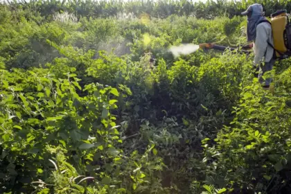 Comitê define 31 ações prioritárias para programa de redução de agrotóxicos