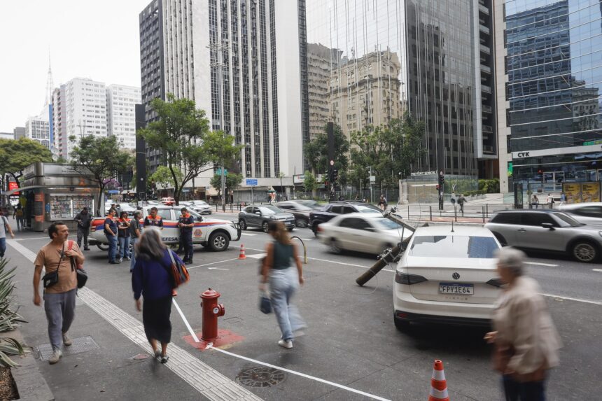 Defesa Civil de SP promove simulação de fio energizado em ação educativa