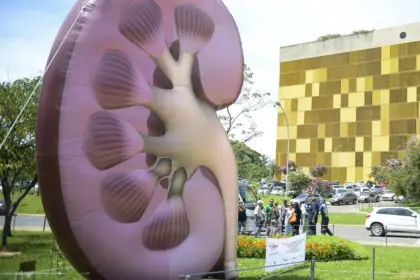 Dia Mundial do Rim: Doenças renais exigem atenção e prevenção