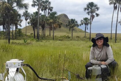 Estudo revela que Cerrado pode armazenar mais carbono que Amazônia