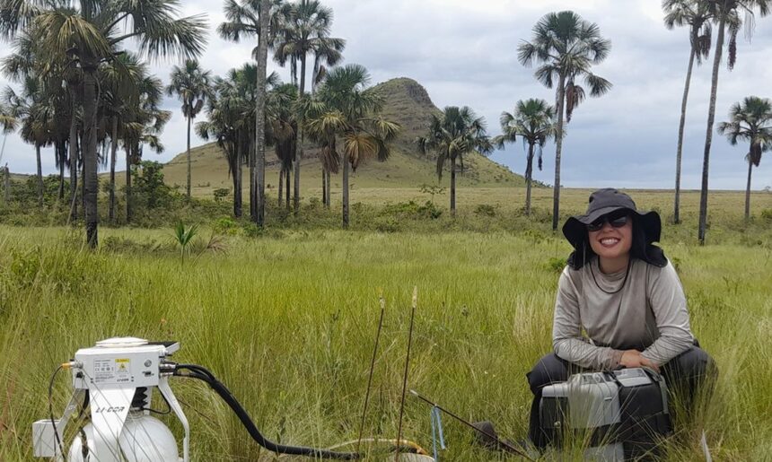 Estudo revela que Cerrado pode armazenar mais carbono que Amazônia