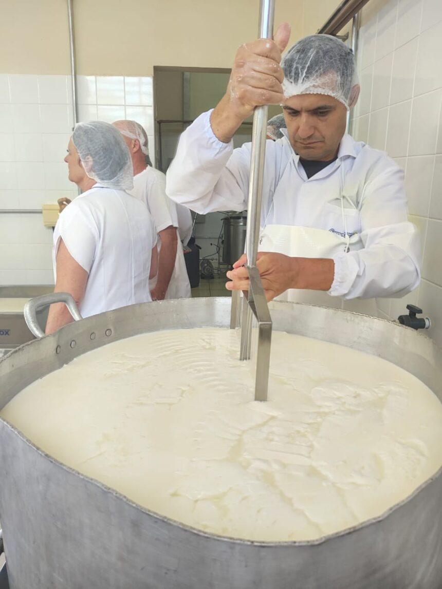 Etecs agrícolas se tornam polos de produção de queijos artesanais