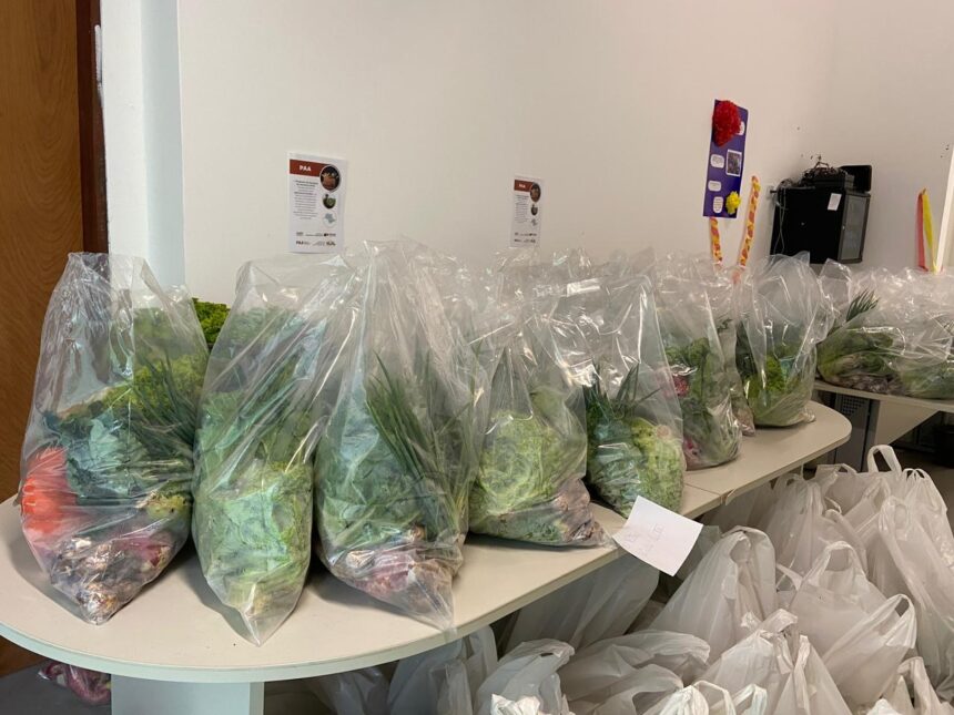 Governo de SP inicia 5ª fase do Programa de Aquisição de Alimentos