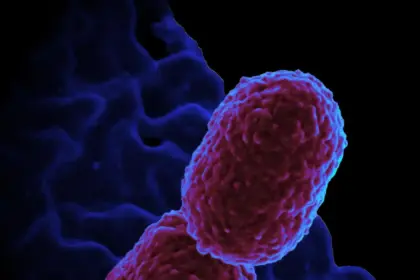 Hospital Mário Gatti em Campinas restringe atendimento por superbactéria