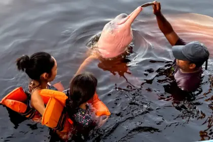 Insegurança impede 62% das mulheres de viajarem sozinhas, aponta pesquisa