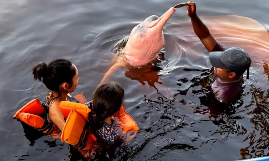 Insegurança impede 62% das mulheres de viajarem sozinhas, aponta pesquisa