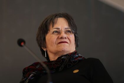 Instituto Maria da Penha critica ataques que visam descredibilizar conquistas