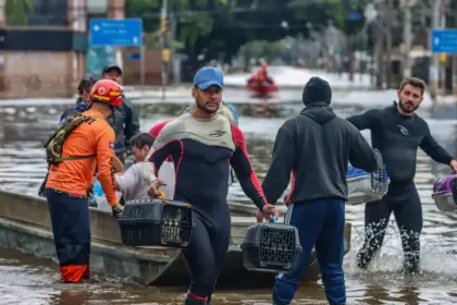 Lei nº 15.355/2026 cria Política de Acolhimento para animais resgatados