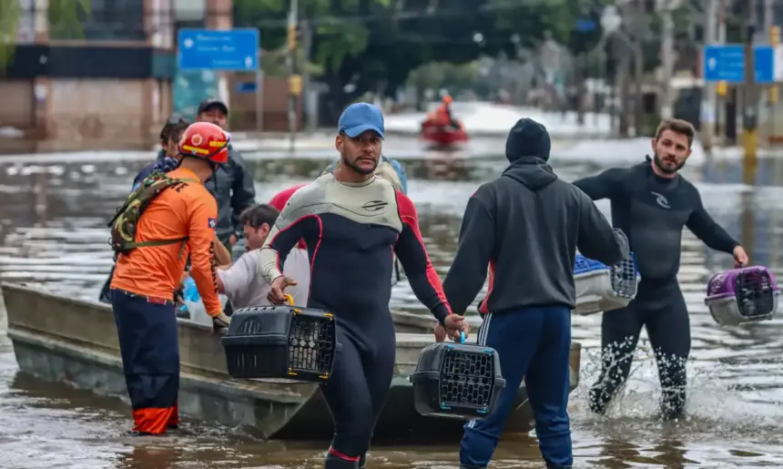 Lei nº 15.355/2026 cria Política de Acolhimento para animais resgatados