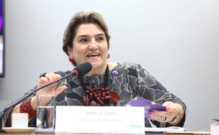 Ministra das Mulheres participará de audiência sobre violência; evento será na quarta-feira