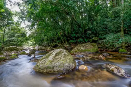 Plano busca fortalecer Sistema Nacional do Meio Ambiente até 2036