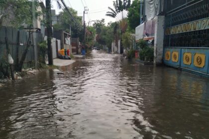 SP reforça orientações para prevenção da leptospirose no período de chuvas