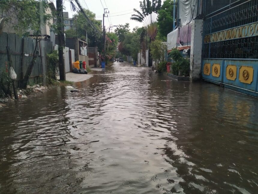 SP reforça orientações para prevenção da leptospirose no período de chuvas