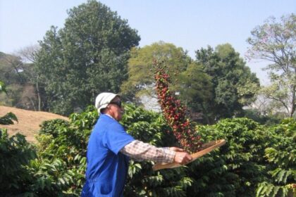 Superávit do agronegócio paulista alcança US$ 2,79 bilhões no primeiro bimestre de 2026