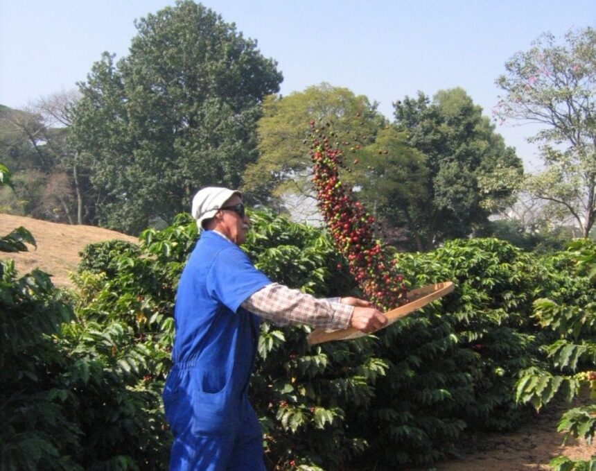 Superávit do agronegócio paulista alcança US$ 2,79 bilhões no primeiro bimestre de 2026