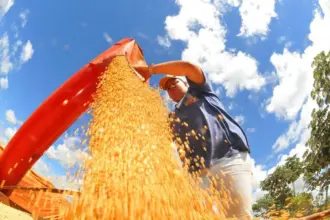 Atividade econômica brasileira cresce 0,6% em fevereiro